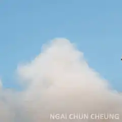 SpaceX Starship landing