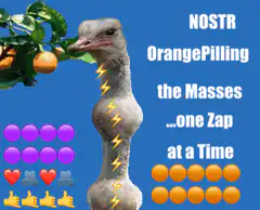 Nostr OrangePilling the Masses