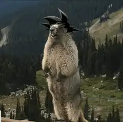 Dragon Ball marmot transformation