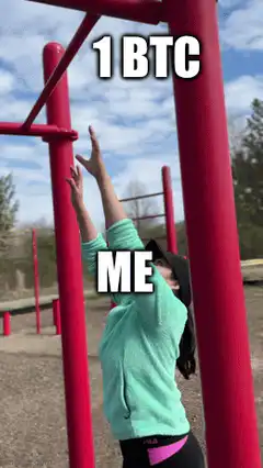 Woman reaching for monkey bars labeled 1 BTC