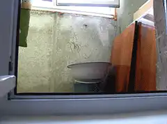 Cat peeking over windowsill