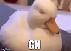 Sleeping duck with GN text