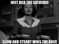 Just DCA the Satoshis Slow and Steady