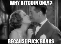 Why Bitcoin Only Because Fuck Banks