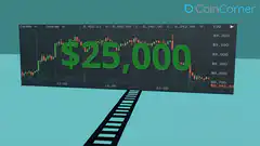 Bitcoin Lion crashes through $25,000 chart
