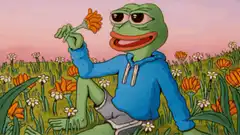 Pepe smelling a flower