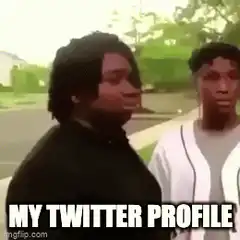 My Twitter Profile meme