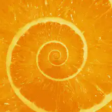 Orange slice spiral zoom