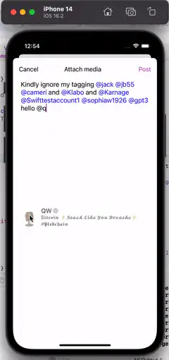 User typing a long tweet with many tags