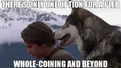 Han Solo and the Wolf Whole-coining and Beyond