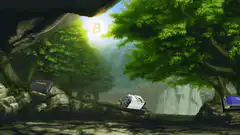 Bitcoin mining rigs in a forest