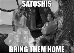 Satoshi bring them home