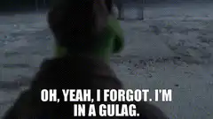 Kermit in a Gulag