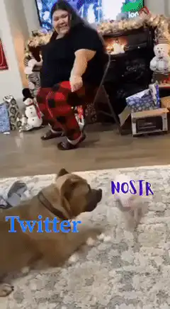 Dog chases toy labeled Twitter and Nostr