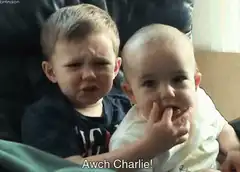 Awch Charlie! Baby puts finger in older brother's mouth