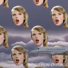 Taylor Swift heads and airplane in sky