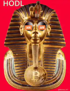 HODL pharaoh with bitcoin