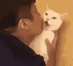 Man kissing white cat