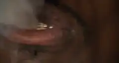 Close up of gold grillz saying I NEED $