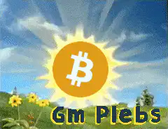 Bitcoin Sun Gm Plebs