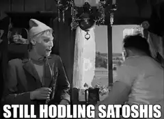 Still Hodling Satoshis