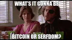 What's it gonna be Bitcoin or Serfdom