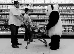 Panda dumps groceries in supermarket
