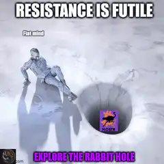 Resistance is futile explore the rabbit hole