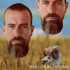 Bearded man and ostrich heads floating