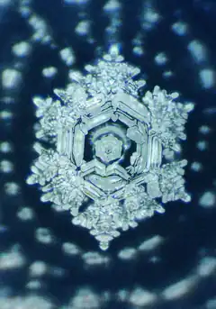 Macro snowflake with hexagonal symmetry