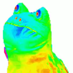 Thermal Frog Meme