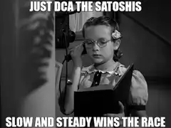 Just DCA the Satoshis Slow and Steady