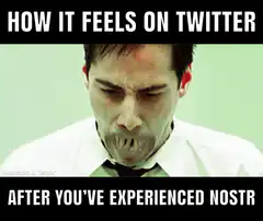 Nostr vs Twitter meme
