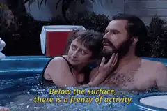Below the surface frenzy of activity