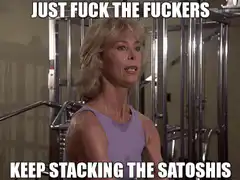 Just Fuck the Fuckers Keep Stacking the Satoshis