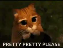 Pretty Pretty Please Cat