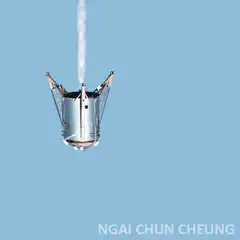 Starship prototype test flight