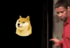Doge and Denzel Willy Wonka