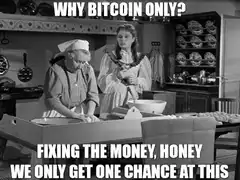 Why Bitcoin Only Fixing The Money Honey