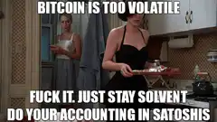 Bitcoin is too volatile, just stay solvent
