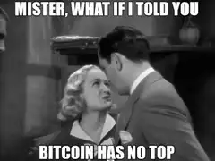 Mister What If I Told You Bitcoin Has No Top