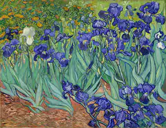 Van Gogh Irises Color Shift