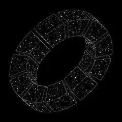 Rotating starry torus