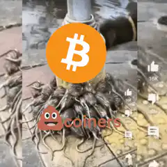 Dog sniffing roots with Bitcoin logo and poop emoji