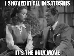 I Shoved It All In Satoshis It's The Only Move
