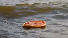 Pizza slice floating in water