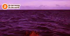 Turtle on a post in purple ocean