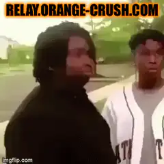 Two guys looking at spam