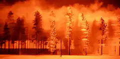 Orange forest fire smoke