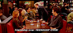 Friends friendship over Ross
